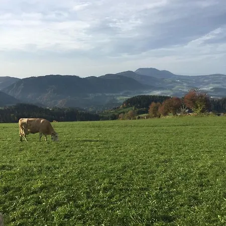 Hofer Familie Gabbichler