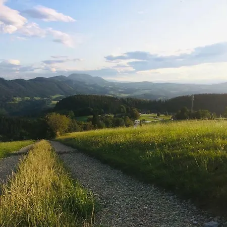 Hofer Familie Gabbichler Daire